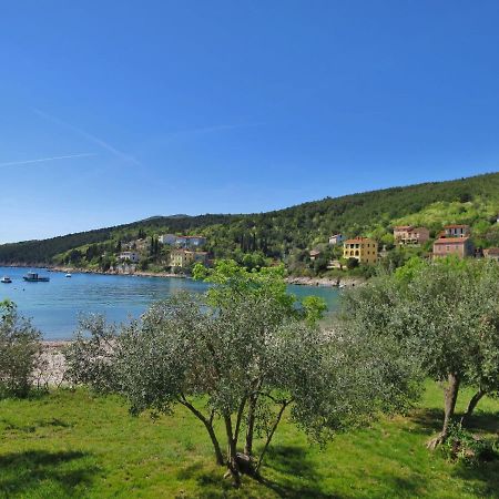 Holiday Home Andrea - Lbn415 By Interhome Labin  Esterno foto