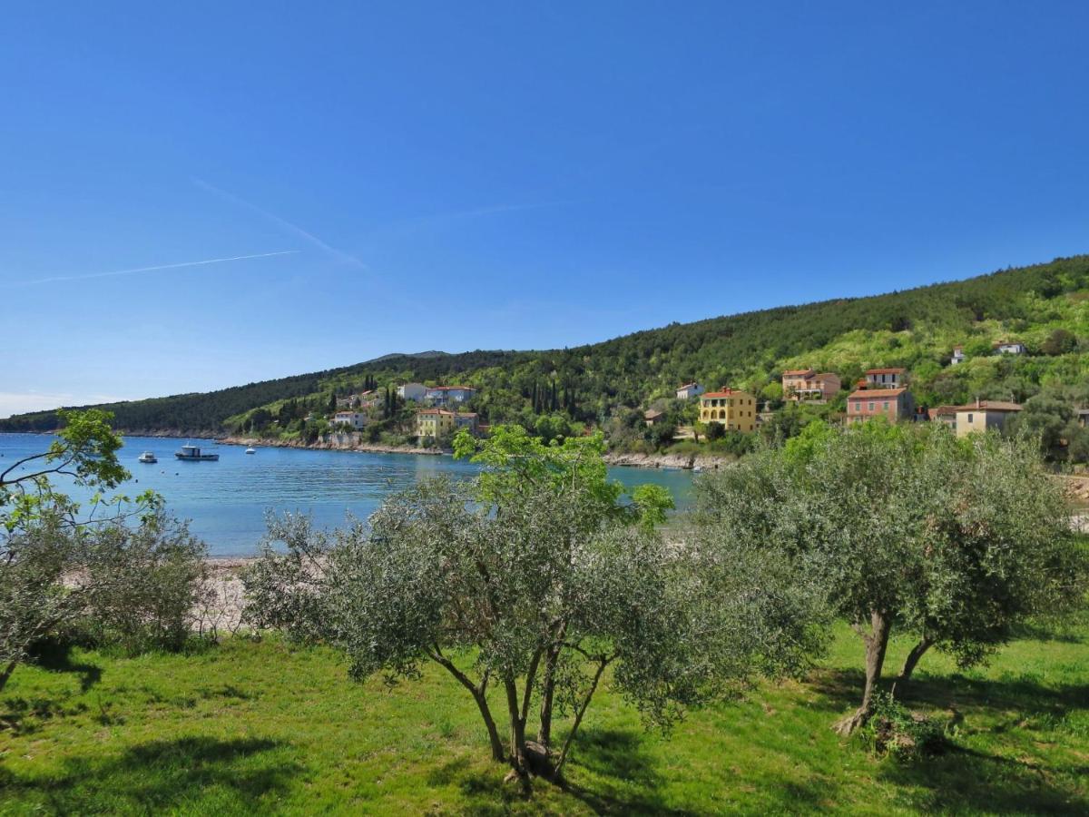 Holiday Home Andrea - Lbn415 By Interhome Labin  Esterno foto